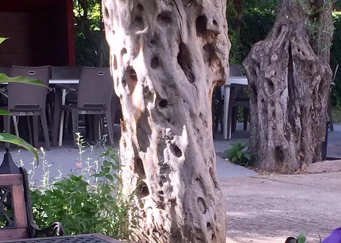 Aneton Hotel de apartamente 2*