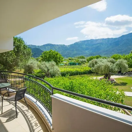 Aneton 克里斯阿穆迪亚