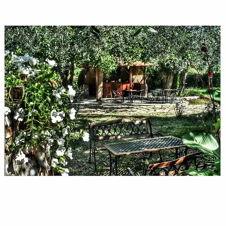 Aneton Aparthotel 2*