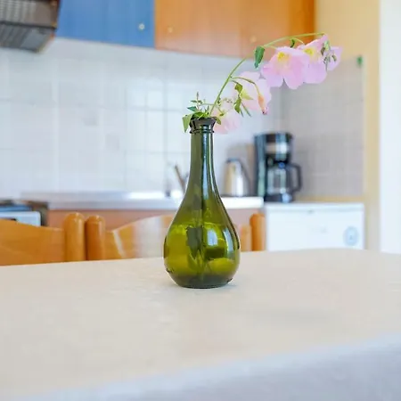 公寓式酒店 Aneton